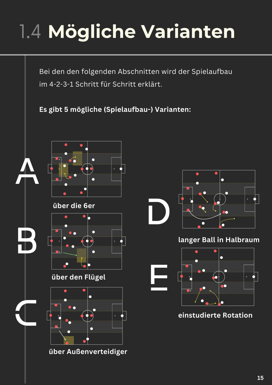 Die 4-2-3-1 Formation