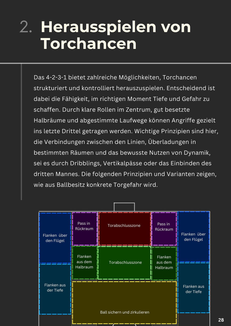 Die 4-2-3-1 Formation