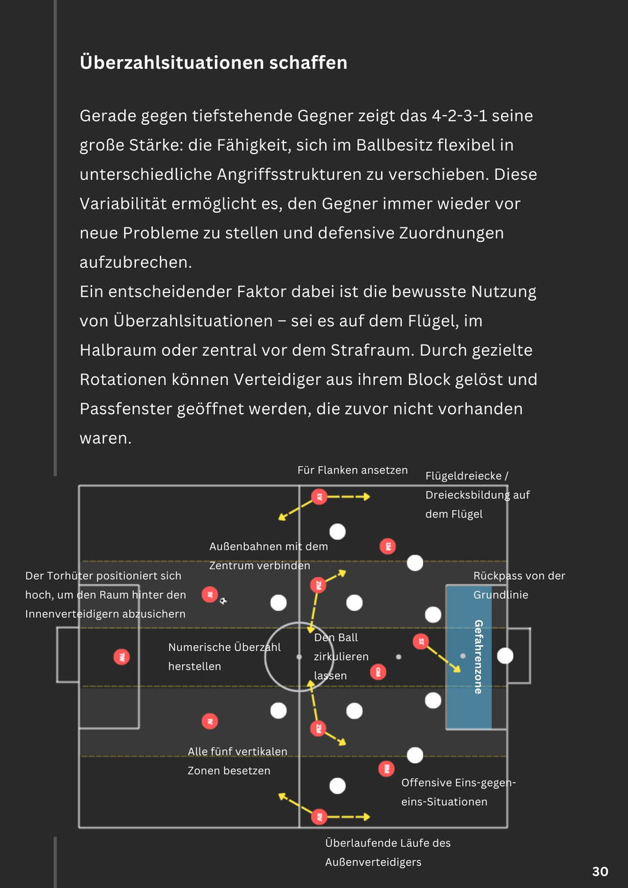 Die 4-2-3-1 Formation