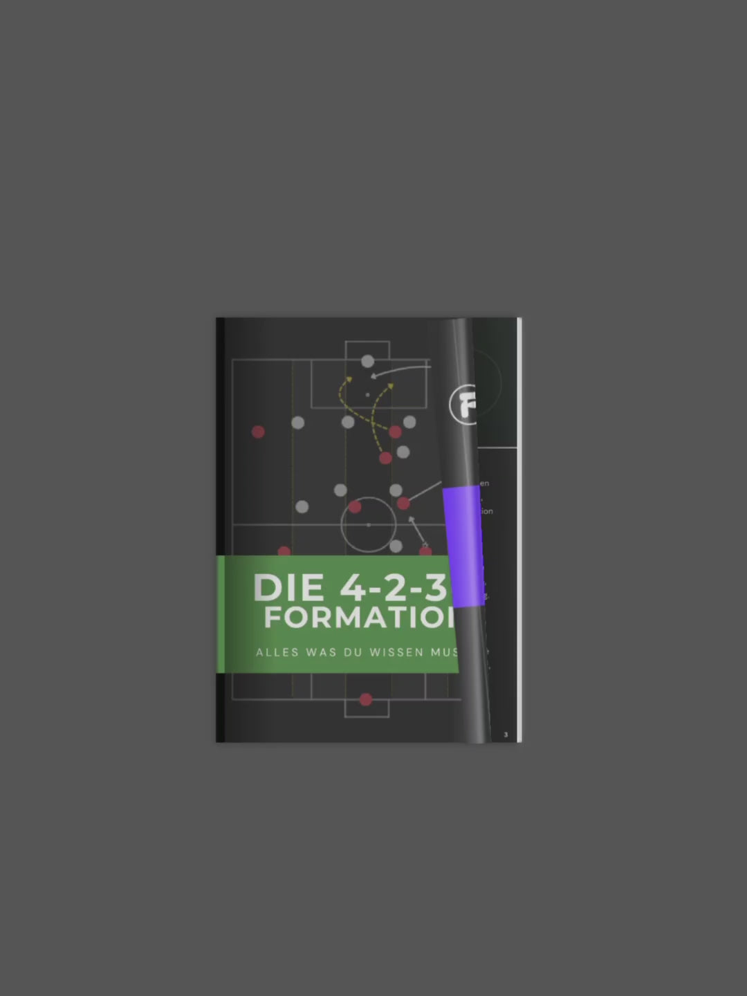 Die 4-2-3-1 Formation